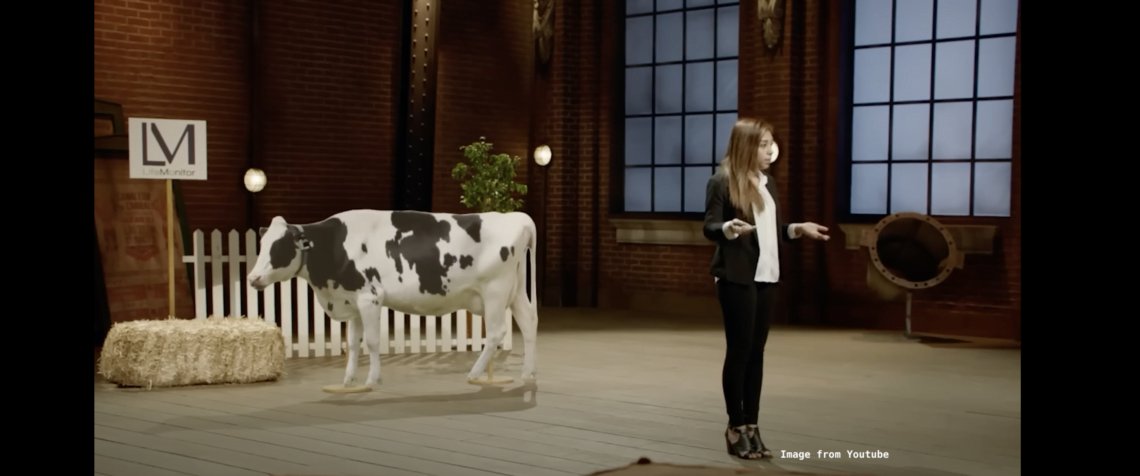 Life Monitor Shark Tank Mexico can prevent diseases in cattle