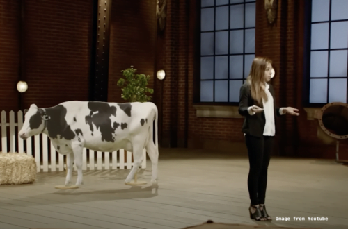 Life Monitor Shark Tank Mexico can prevent diseases in cattle