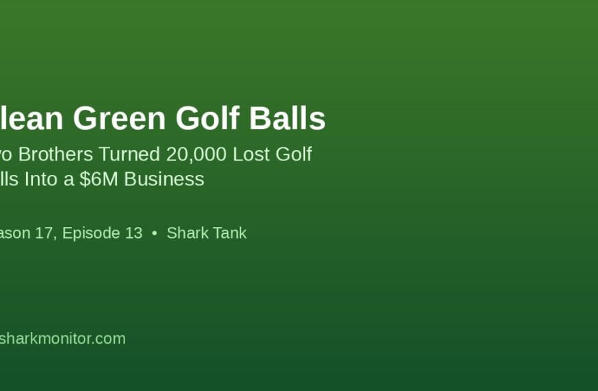 Clean Green Golf Balls: Two Brothers Turned 20,000 Lost Golf Balls Into a $6M Business
